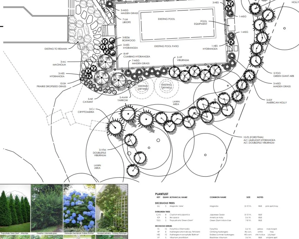 Pool landscape design and planting plan with plant list and reference photos